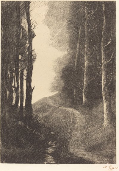 Landskap med bjørketrær av Alphonse Legros