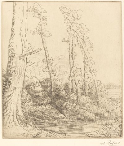 Lille Pond La petite hoppe. av Alphonse Legros