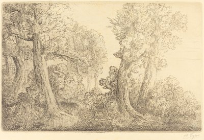 Nær skogen, Veronne Pres du bois, Veronne. av Alphonse Legros
