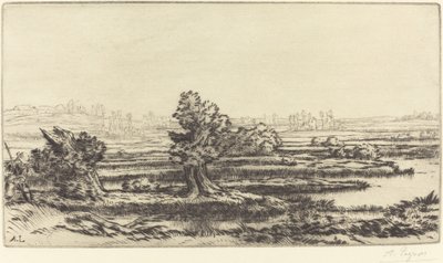 Torvmyrer Les Tourbieres. av Alphonse Legros