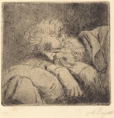 Sovende tigger av Alphonse Legros