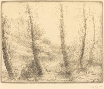 Liten innsjø av Alphonse Legros