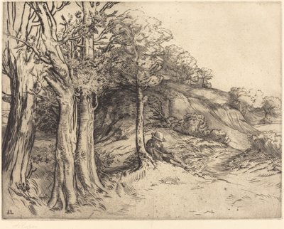 Ensomhet Ensomhet Landskap. av Alphonse Legros