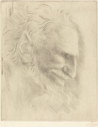 Studie for hodet til en mann Etude de tete d