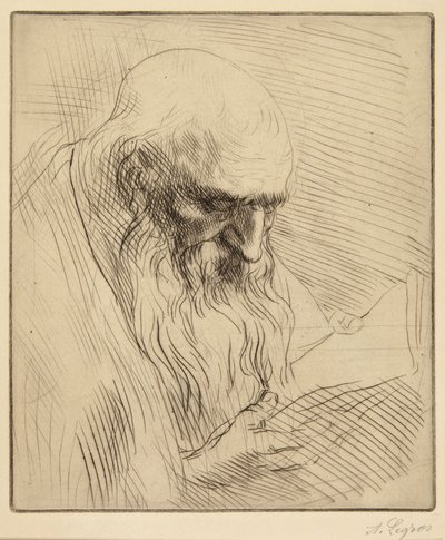 Studie av en gammel mann som leser av Alphonse Legros