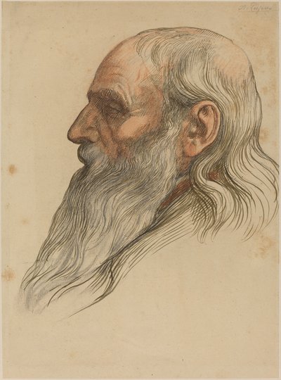 Studie av en manns hode med helskjegg av Alphonse Legros