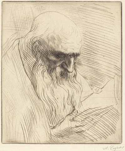  av Alphonse Legros