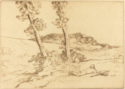 Reisende tilbakelent på gresset Den reisende tilbakelent på gresset. av Alphonse Legros