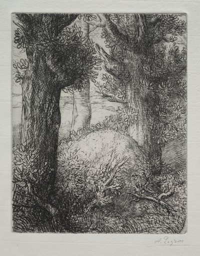 Galliske gravhauger av Alphonse Legros