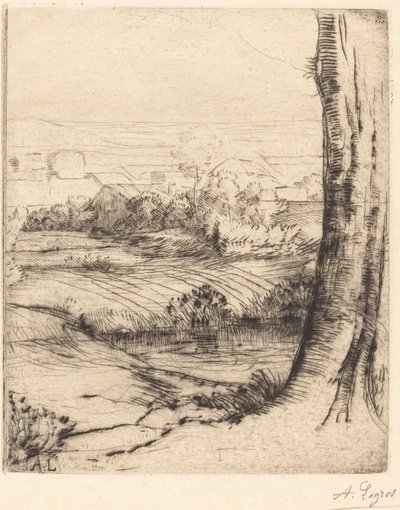 Utsikt over Reeds (Coin de roseau) av Alphonse Legros