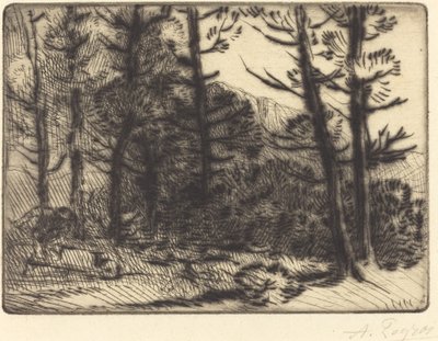Woods in Winter Sun, 2. plate av Alphonse Legros