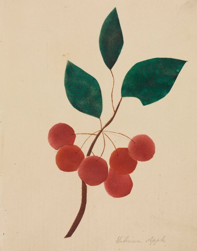  av Altha Mary Nims