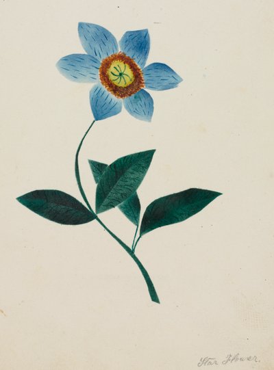  av Altha Mary Nims