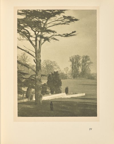  av Alvin Langdon Coburn