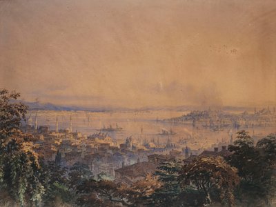 En utsikt over Konstantinopel, 1866 av Amadeo Preziosi