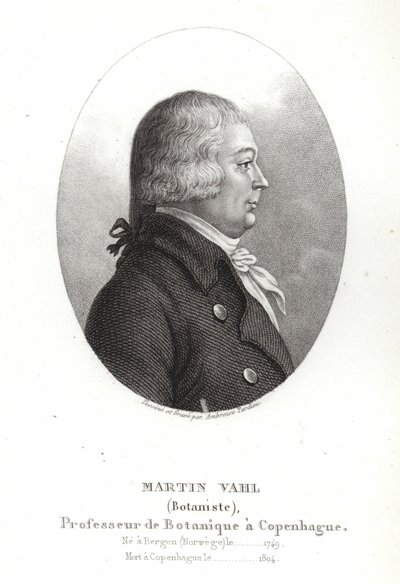 Martin Vahl av Ambroise Tardieu