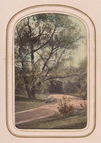 Carte-de-visite Album of Central Park Views, 1860-tallet. av Ambrose Jackson