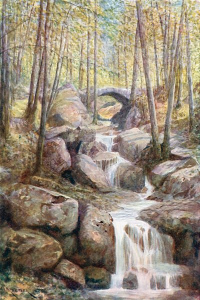 Profetens bro, Meyerbeer-promenaden, Spa Woods (fargelitografi) av Amedee (after) Forestier