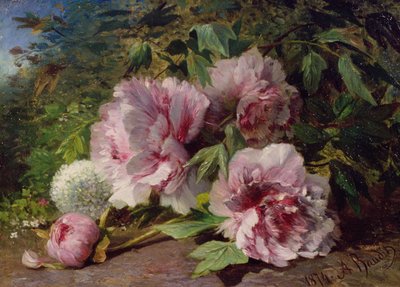 Studie av peoner, 1874 av Amedee Baudit