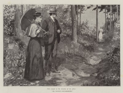 Mr Bilson's Housekeeper, av Bret Harte av Amedee Forestier