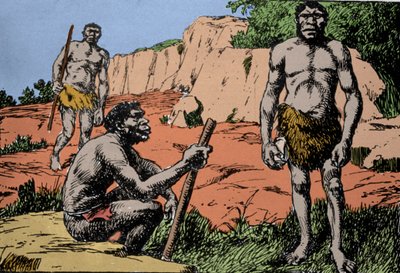 Forhistorie: representasjon av Homo rhodesiensis eller mannen fra Broken hill, stamfar til Homo sapiens, hvis fossiler ble oppdaget i Rhodesia (dagens Zambia i Afrika). Tegning av A. Forestier. DR av Amedee Forestier