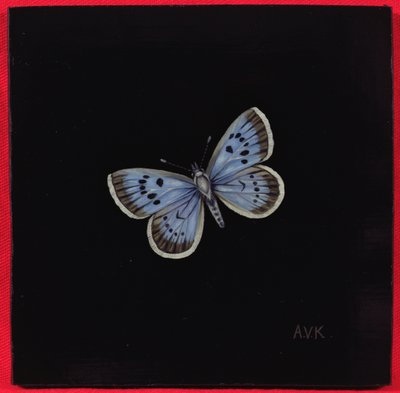 Stor blå sommerfugl, 2000 av Amelia Kleiser