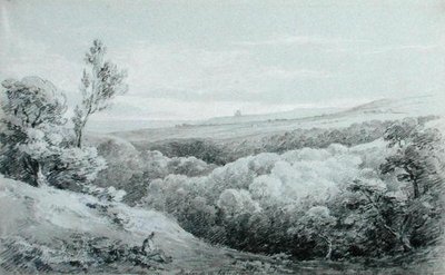 Whitby Abbey, fra Mulgrave av Amelia Long