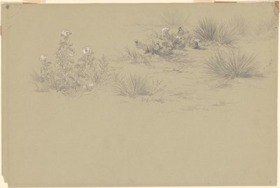 Blomstrende busk og ørkenplanter av American 19th Century after John Frederick Kensett
