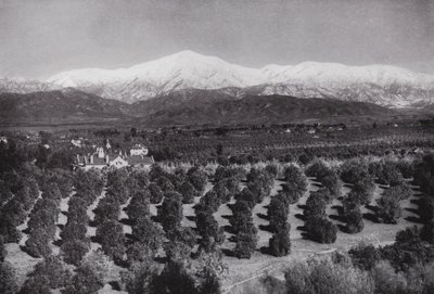 California: Redlands, fra Smiley Heights, solskinn, appelsinlunder og snødekte topper (s/h-bilde) av American Photographer (after)