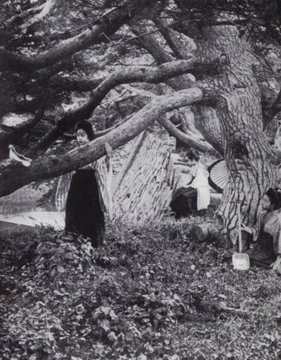 Japanske jenter blant de gamle furutrærne ved siden av den eldgamle keiserlige vollgraven i Tokio (s/hvitt bilde) av American Photographer (after)