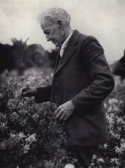 Luther Burbank blant blomstene hans (s/hvitt bilde) av American Photographer (after)