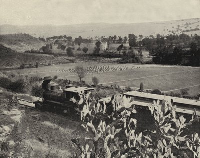 Nær Tula, Mexico (s/hvitt bilde) av American Photographer (after)