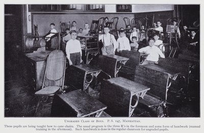 New York School Inquiry av American Photographer (after)