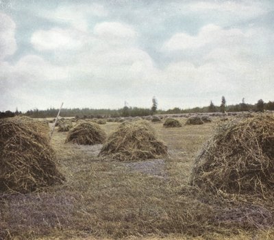 Oregon: Alfalfa (bilde) av American Photographer (after)