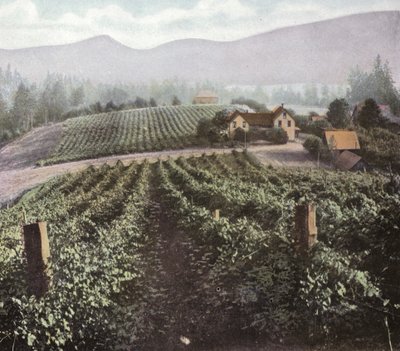 Oregon: Diversifisert jordbruk i Willamette Valley (bilde) av American Photographer (after)