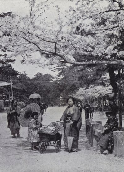Under kirsebærblomsten i Shiba Park, Tokio (s/hvitt bilde) av American Photographer (after)