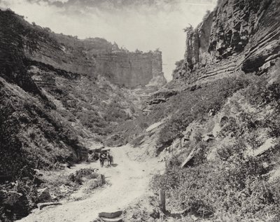 Williams' Canyon (s/hvitt bilde) av American Photographer (after)