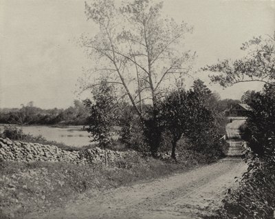 Windham Frog Pond, Windham, Connecticut (s/hvitt bilde) av American Photographer (after)