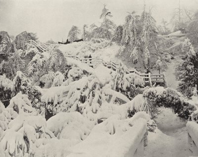 Vinterløvverk på Luna Island (s/hvitt bilde) av American Photographer (after)