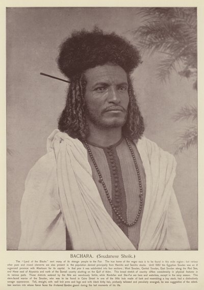 Bachara, sudanesisk sjeik av American Photographer