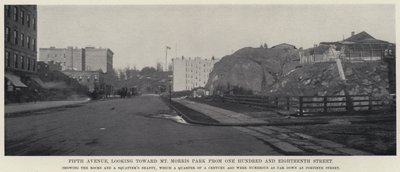 Fifth Avenue, med utsikt mot Mt Morris Park fra One Hundred and Eighteenth Street (s/hv-bilde) av American Photographer