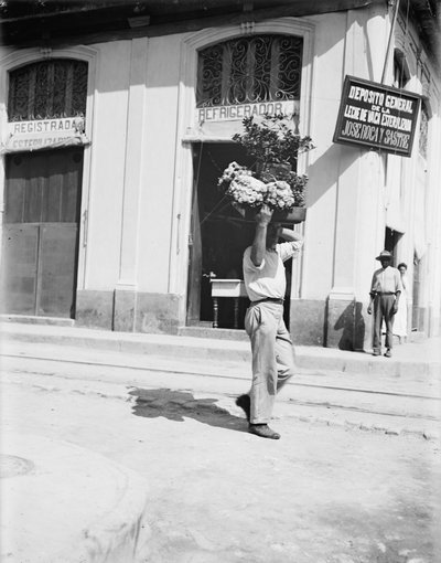 Blomsterforhandler, Havana, ca. 1910 (s/hvitt-bilde) av American Photographer