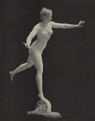 Fortuna av American Photographer