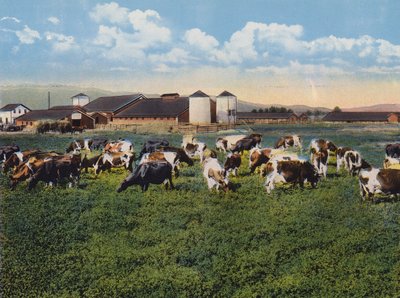 HR Timm Dairy, Dixon, California (fargebilde) av American Photographer