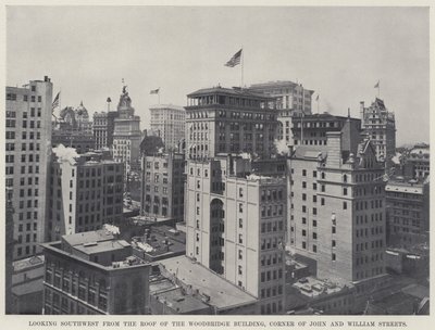 Ser sørvestover fra taket på Woodbridge-bygningen, Corner of John and William Streets (s/hv-bilde) av American Photographer