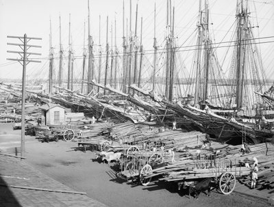 Muelle Tallapiedras, Havanna, ca. 1904 (s/hvitt-bilde) av American Photographer