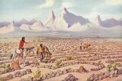 Mystic Maze of the Mojave Indians, nær Needles, California (farget bilde) av American Photographer