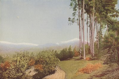 «Old Baldy» fra Smiley Heights, California (fargebilde) av American Photographer