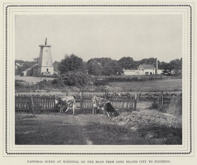 Pastoral scene på Winfield, på veien fra Long Island City til Flushing (s/hv-bilde) av American Photographer