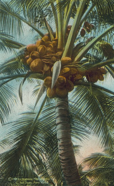  av American Photographer